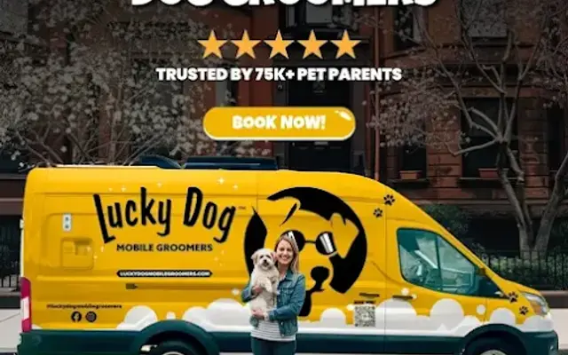 Lucky Dog Mobile Groomers - Sarasota, FL in Sarasota, FL