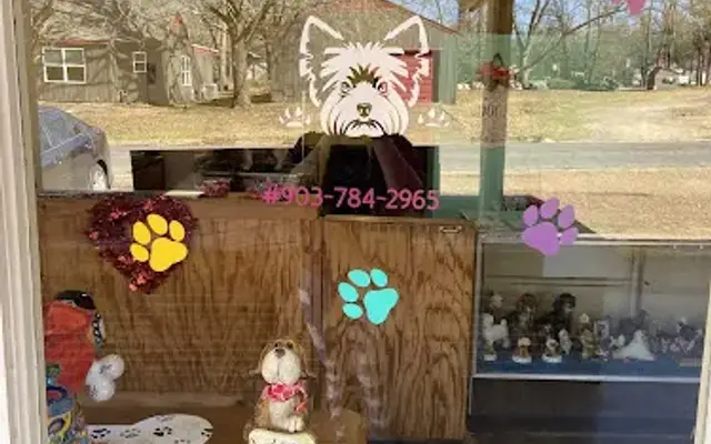 Pam's Professional Pet Grooming in Paris, TX