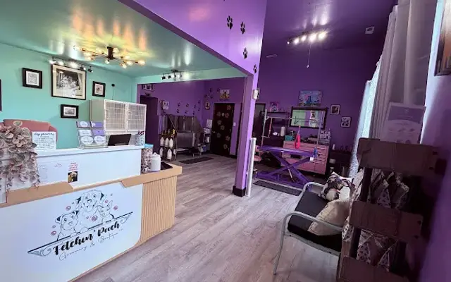 Fetchin' Pooch Groomery & Boutique LLC in Orwigsburg, PA