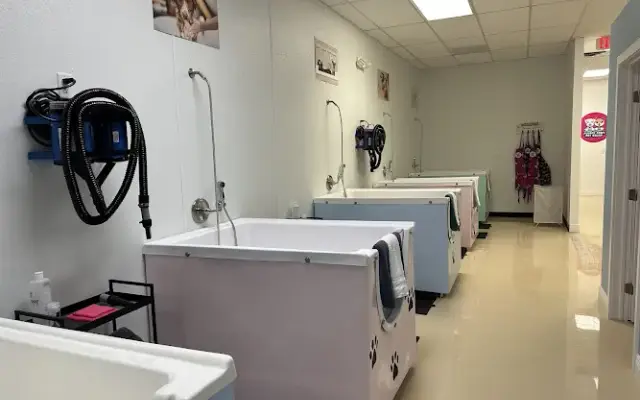 Fluffy Paws Pet Salon in Weston, FL
