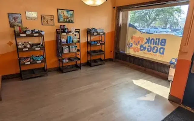 Blink Dog Pet Grooming in Appleton, WI