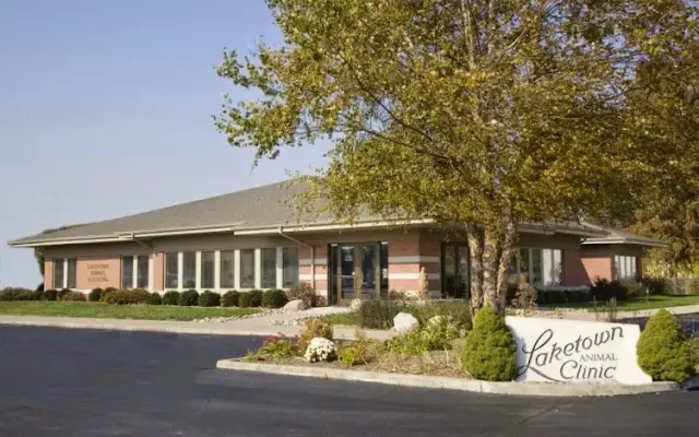 Laketown Animal Hospital in Springfield, IL