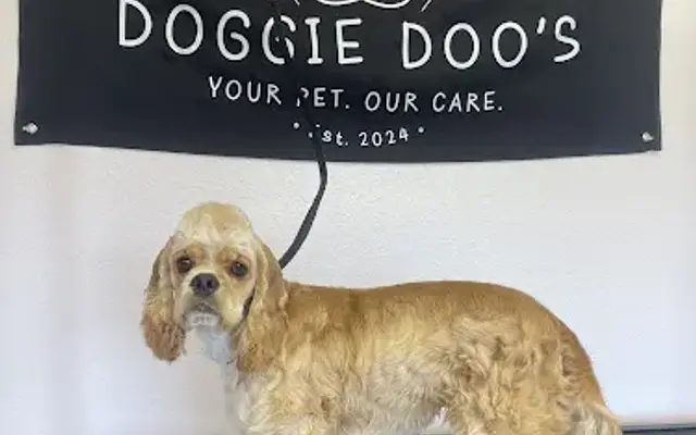 Doggie Doo's in Oelwein, IA