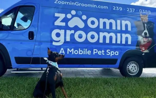 Zoomin Groomin in Punta Gorda, FL