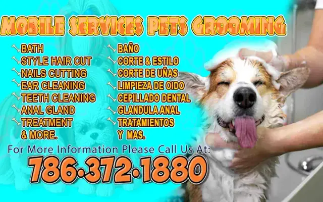 Magic Pets Groomer in Miami, FL