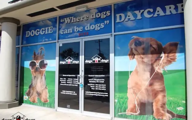 Dogs R Dogs in Houston, TX