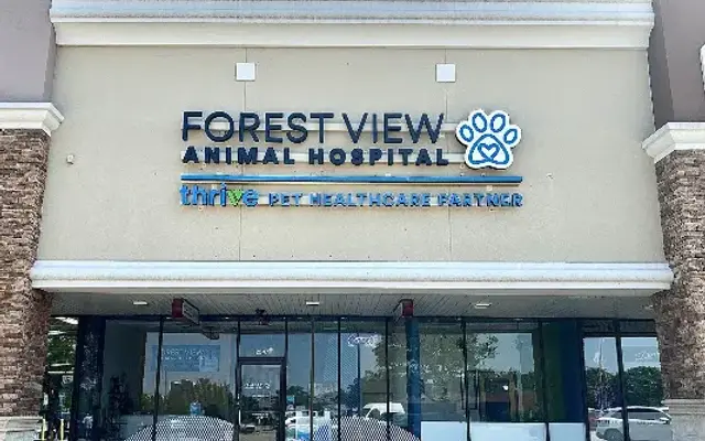 Forest View Animal Hospital, A Thrive Pet Healthcare Partner in Hoffman Estates, IL
