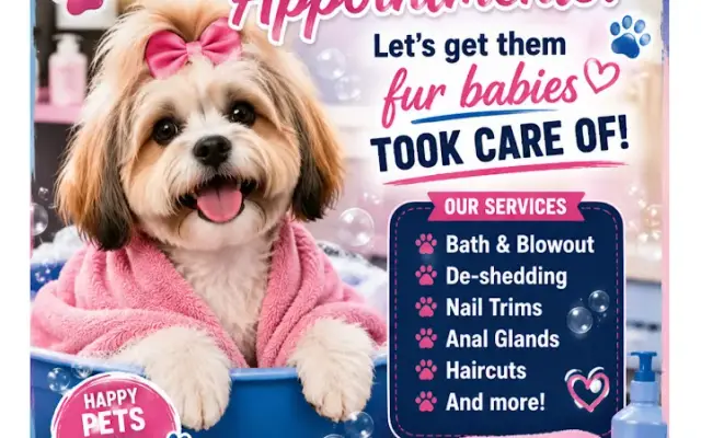 Mo’s Fluff & Puff Grooming in Saltillo, MS