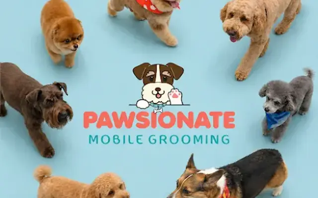 Pawsionate Mobile Grooming & Pet Spa in Rockwall, TX