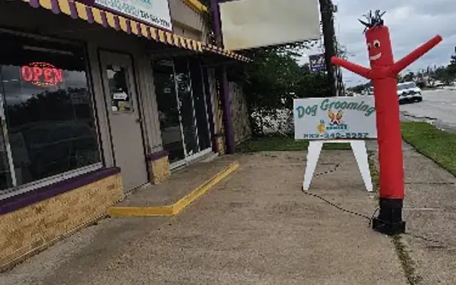 Chaneke's Dogs Grooming in Houston, TX