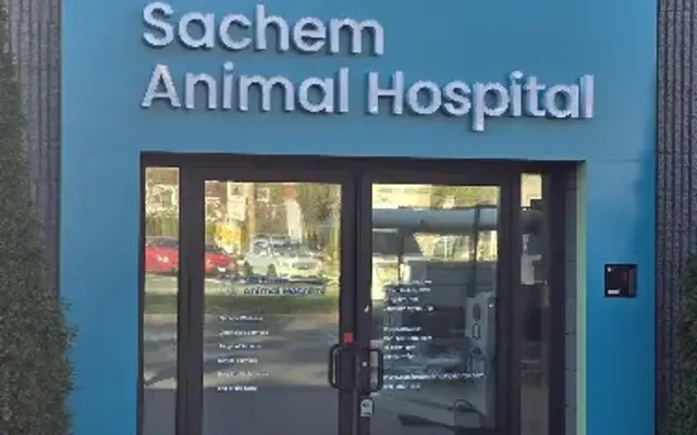 Sachem Animal Hospital in Ronkonkoma, NY