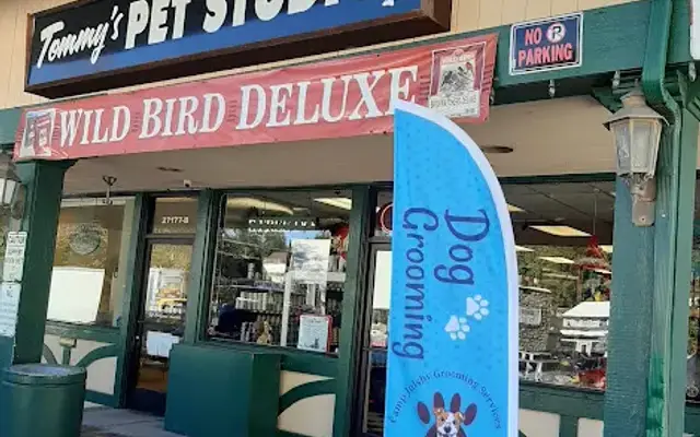 Camp Julsby Grooming Services in Blue Jay, CA