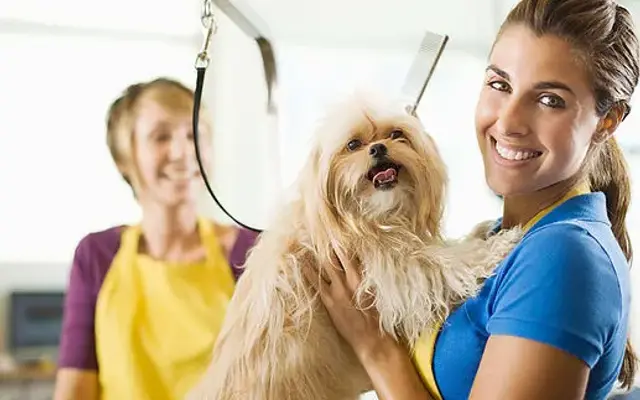 All Pets Grooming & Boarding in Naples, FL