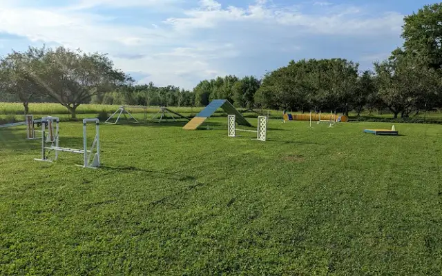 Paws & Connect LLC in Archbold, OH