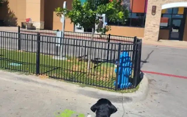 PetSmart in Burleson, TX