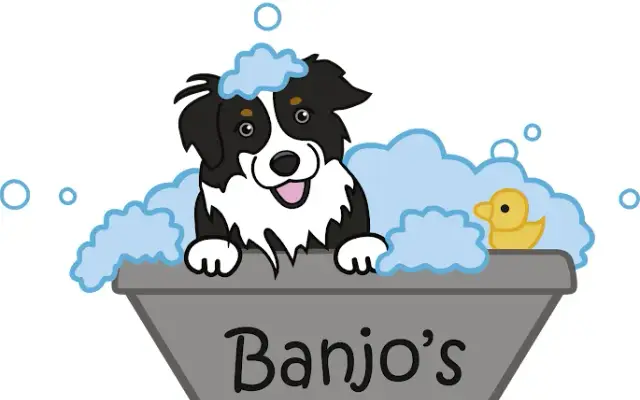 Banjo's Self Dog Wash in Northbrook, IL