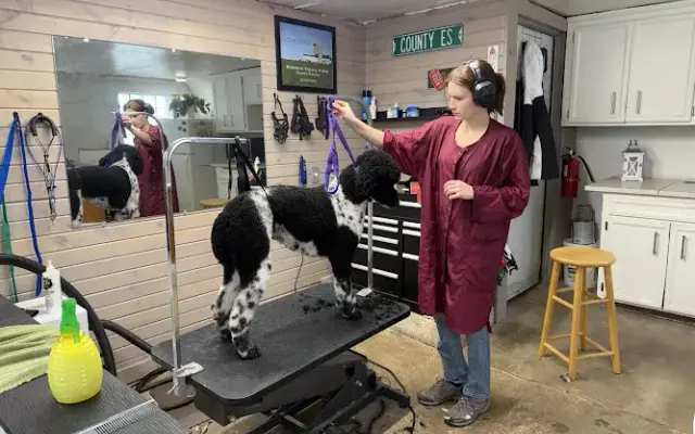 Hillstone Pet Grooming, LLC in Elkhorn, WI