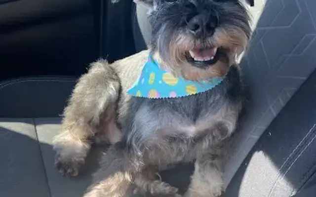 Happy Dog Salon in Smithfield, KY
