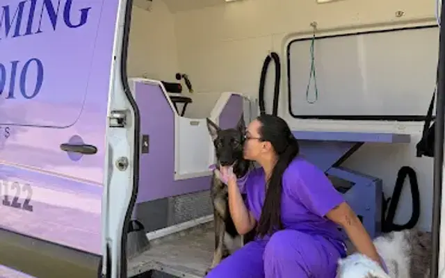 The Grooming Studio For Pets in Pine Hills, FL