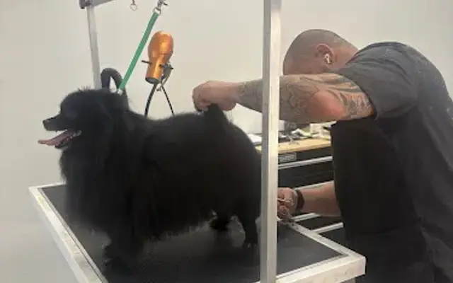 Exotic Pet Grooming in Olympia Heights, FL