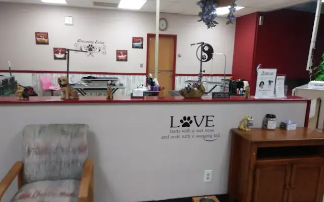 Alfie's Grooming in Gresham, OR