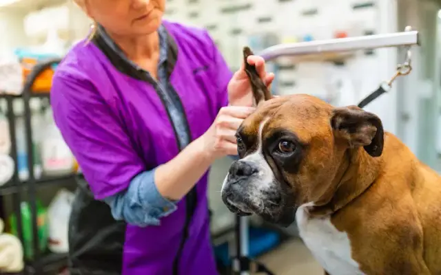 Bark Avenue Grooming in Pequannock Township, NJ