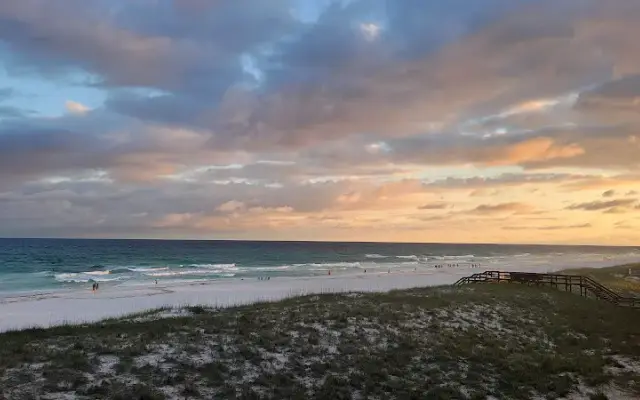Navarre Beach Pet Retreat in Navarre, FL