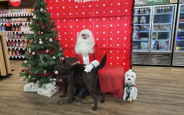 PetSmart Grooming in Newington, NH