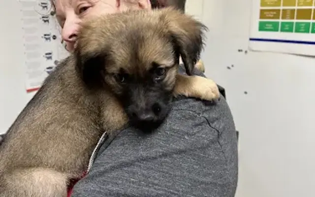 Three Counties Animal Hospital in Riverdale, GA