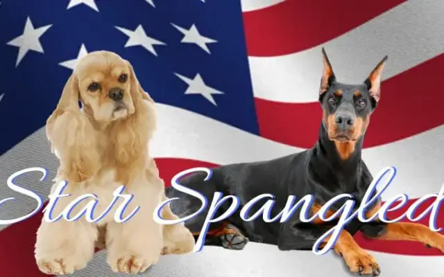 Star Spanlged Pups Mobile Pet Grooming in Leavenworth, KS