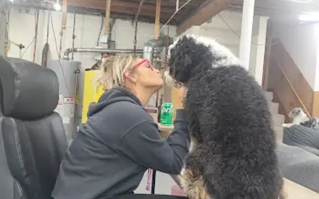 Paws & Pups in Hartstown, PA