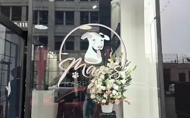 Maxs Happy Paws | Dog Grooming Downtown Los Angeles in Los Angeles, CA