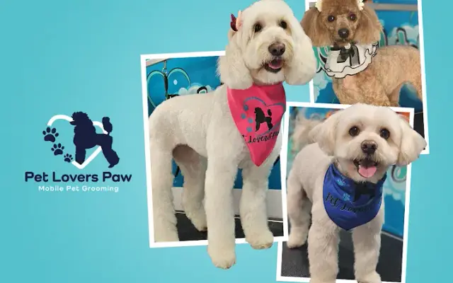 Pet Lovers Paw in Austin, TX