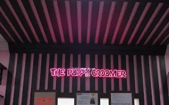 ThePuppyGroomer in Middle Village, NY