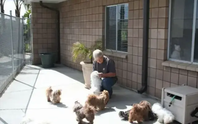 Homeland Pet Hotel in Homeland, CA