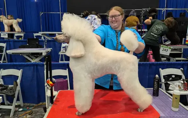 Bretton Ridge Grooming in North Olmsted, OH