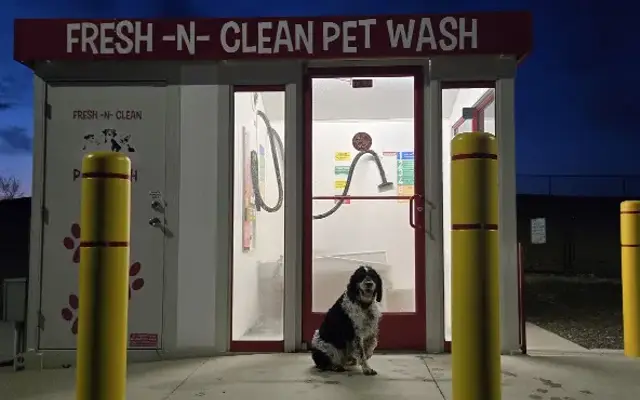 Fresh-N-Clean Pet Wash in Wayland, MI