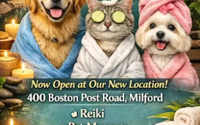 Pet spa in Milford, CT
