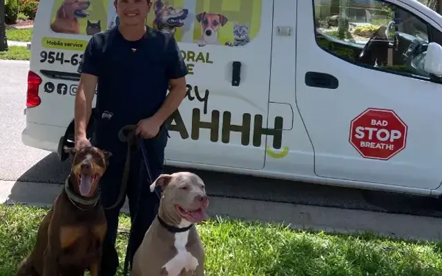 Say Ahhh Dog Teeth Cleaning in Greenacres, FL