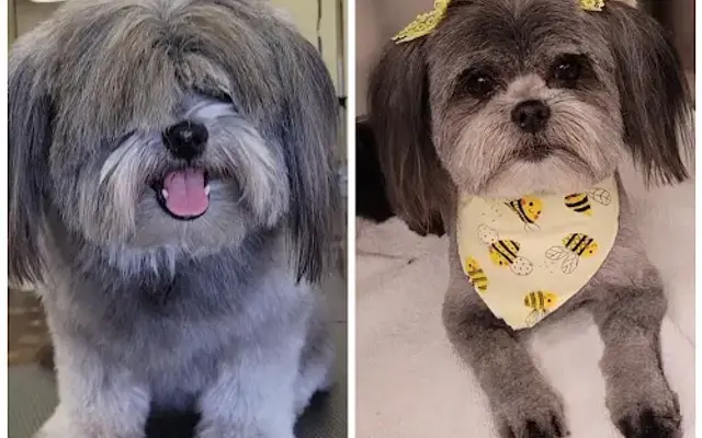 West Mountain Veterinary Hospital and Pet Grooming in Payson, UT