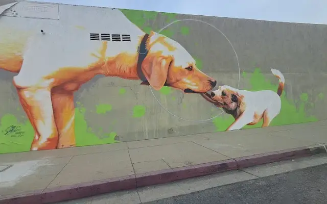 I Dig My Dog in Pasadena, CA