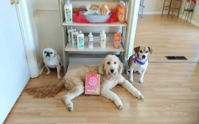 Bladen's Critter Sitters Pet Sitting and Grooming in Madison, IN