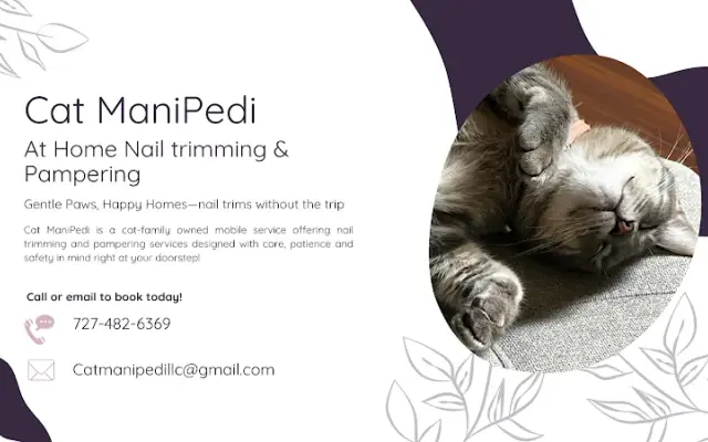 Cat ManiPedi in Clearwater, FL