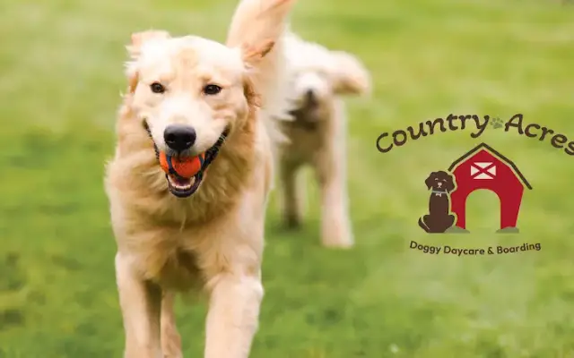 Country Acres in Fowlerville, MI