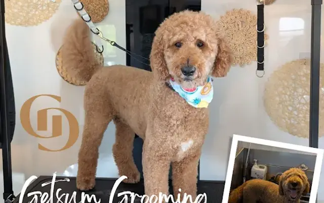 Getsum Grooming in Jacksonville, FL