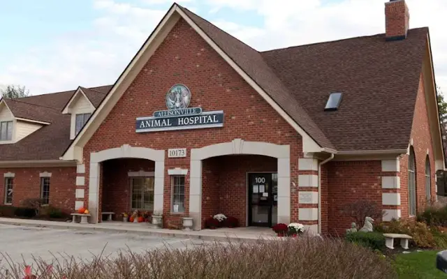 Allisonville Animal Hospital in Fishers, IN