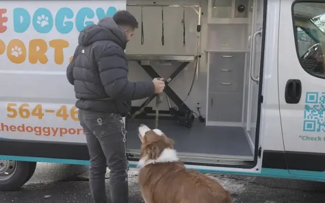 The Doggy Port Mobile in Wallingford, CT