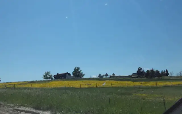 Wags N Walks CO in Elizabeth, CO