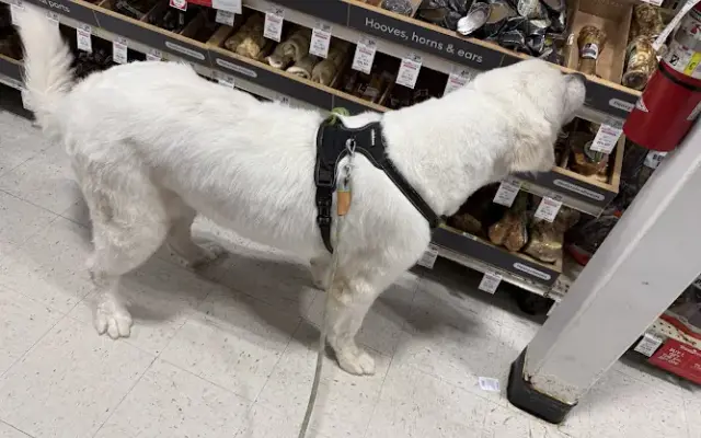 PetSmart Grooming in Texarkana, TX