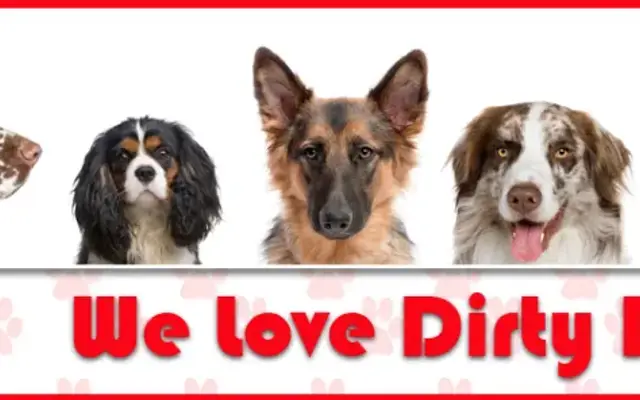 Mobile Dirty Dog Grooming in Kennesaw, GA